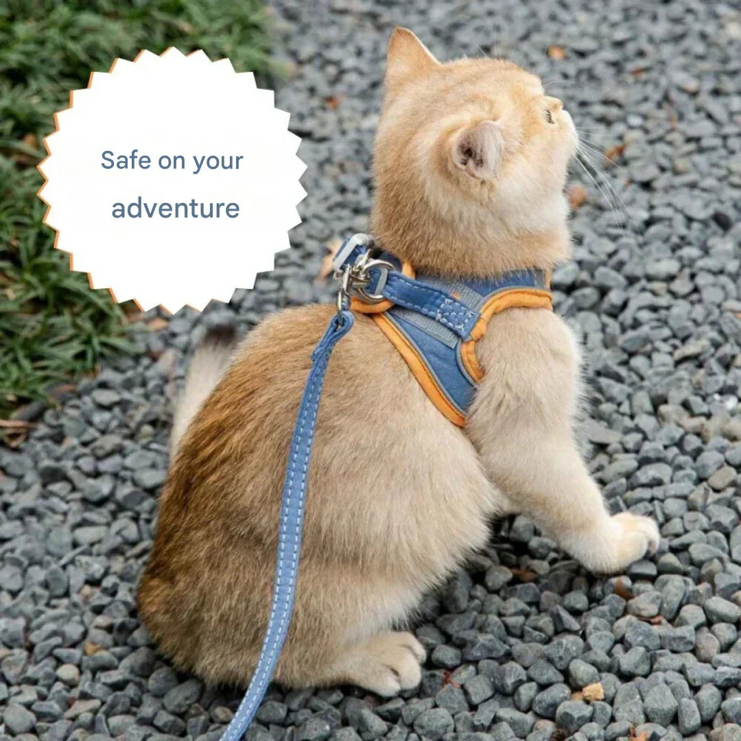 Adjustable Cat Harness with Leash – WhiskerWander
